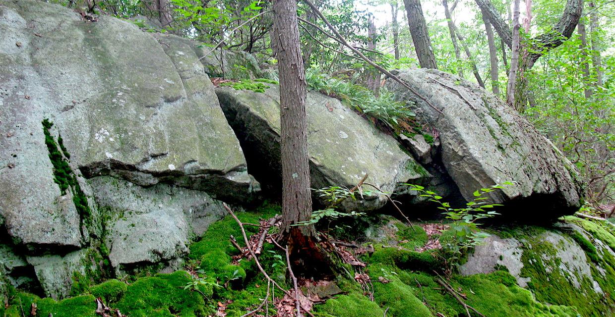 View of rocks along trail - Sugarloaf Hill and Osborn Loop Trail - Photo: Daniel Chazin