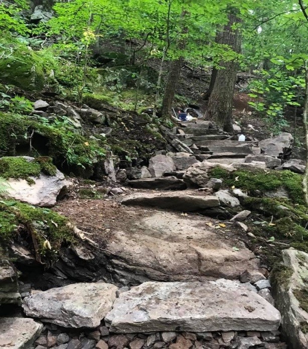 Trail building in the Catskill's Platte Clove Preserve. Photo by Samantha Hirt.