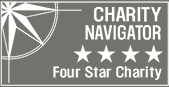 charity navigator icon