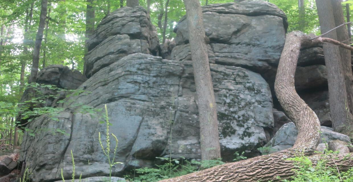 View of Legend Rock in Dismal Harmony Natural Area. Photo by Daniel Chazin.