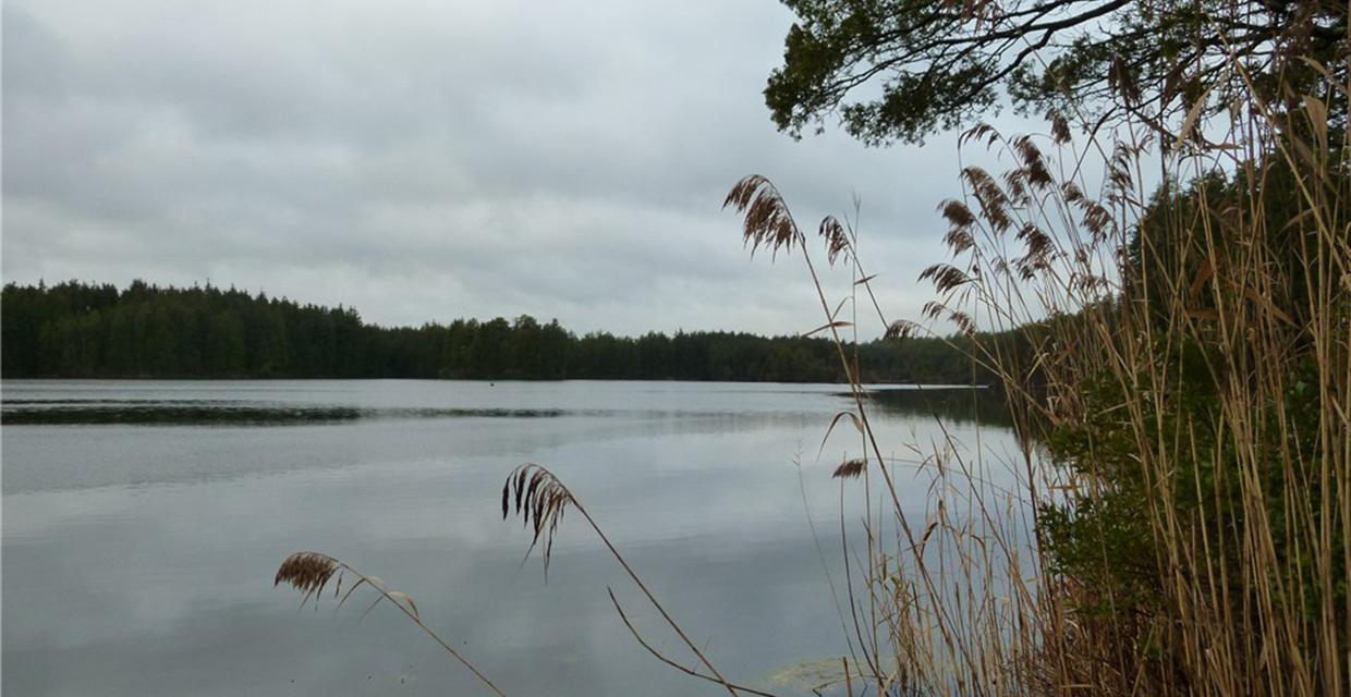 View of Wells Mills Lake in Wells Mills County Park - Photo credit: Daniela Wagstaff