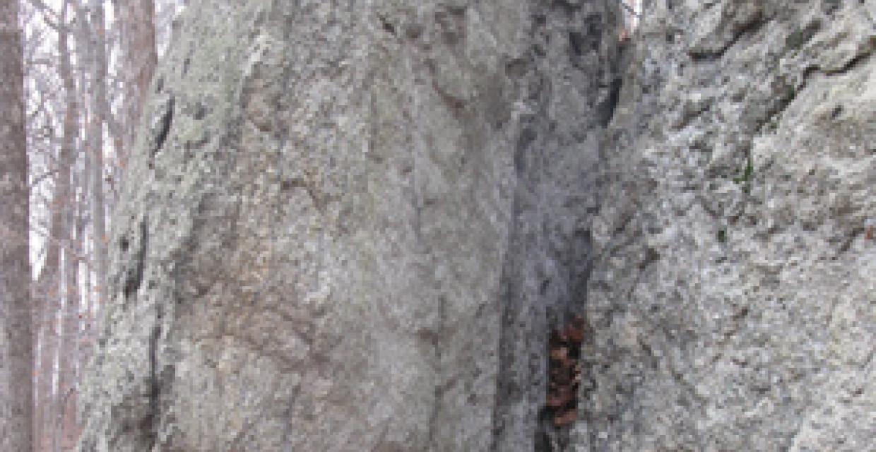Standing rocks in the ravine at Teetertown Preserve